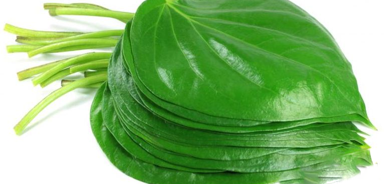 Daun Sireh