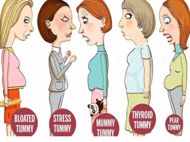 5 Kategori Perut Buncit Yang Selalu Dialami Wanita