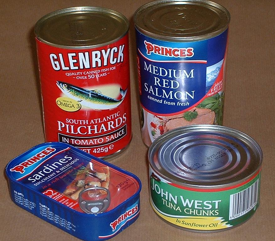 ikan dalam tin
